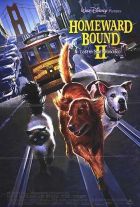 Úton hazafelé 2 - Kaland San Franciscóban (1996) online film