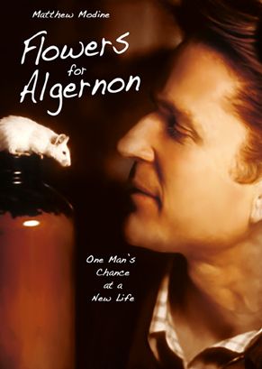 Virágot Algernonnak (2000) online film