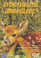 Gyöngyvirágtól lombhullásig (1953) online film