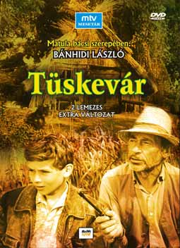 Tüskevár 1.évad (1967) online sorozat