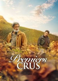 A családi birtok (2015) online film