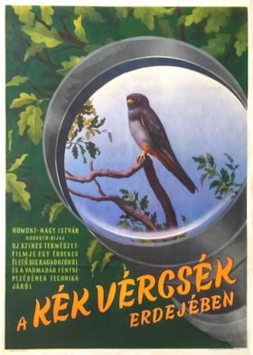 A kék vércsék erdejében (1954) online film