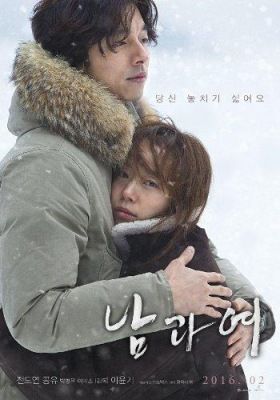 A Man and a Woman (2016) online film