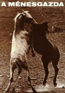 A ménesgazda (1978) online film
