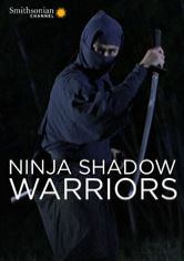 A nindzsák világa (2012) online film