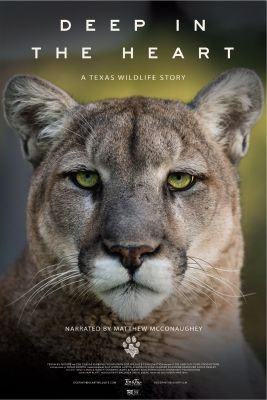 A szív mélyén: Egy vadvilági történet Texasban (2022) online film