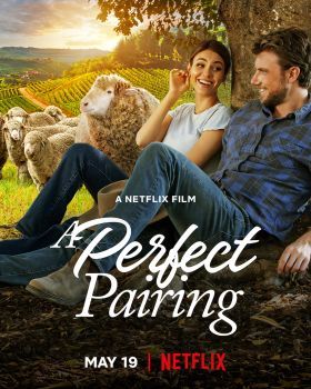A tökéletes párosítás (2022) online film