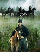 A csikó (2005) online film