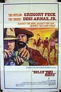 A hölgy és a bandita (1974) online film