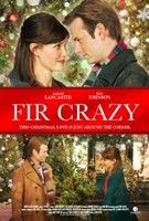 A karácsonyfa varázsa (2013) online film
