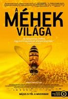 A méhek világa (2012) online film