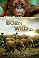 A vadon kölykei (2011) online film