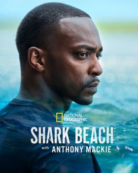 Anthony Mackie: Cápák tengerpartja (2024) online film