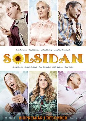 Az élet napos oldala (2017) online film