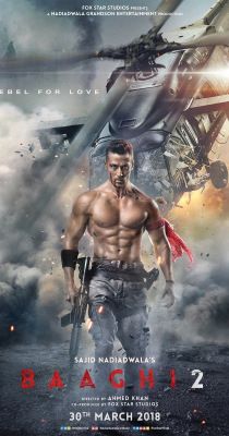 Baaghi 2 (2018) online film