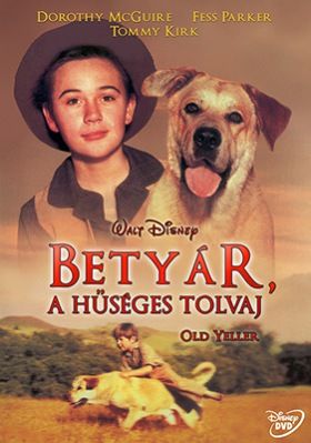 Betyár, a hűséges tolvaj (1957) online film