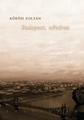 Budapest, nőváros (2008) online film