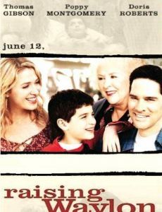 Családot örökségbe (2004) online film