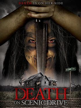 Death on Scenic Drive (2017) online film