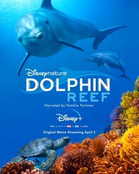 Delfinek Zátonya (2018) online film