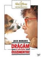 Drágám, a kölykök összementek! (1989) online film