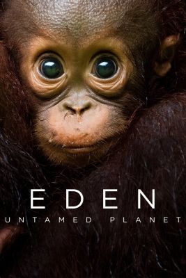 Eden: Untamed Planet 1. évad (2021) online sorozat