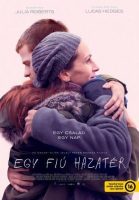 Egy fiú hazatér (2018) online film