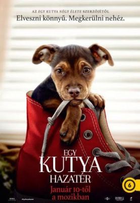Egy kutya hazatér (2019) online film
