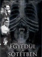 Egyedül a sötétben (1982) online film