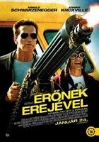 Erőnek erejével (2013) online film