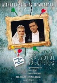 Esküvőtől válóperig (2013) online film