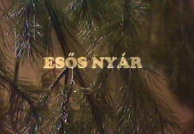 Esős nyár (1977) online film