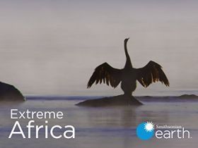 Extrém Afrika 1. évad (2015) online sorozat