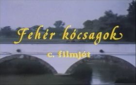 Fehér kócsagok (1990) online film