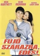 Fújd szárazra, édes! (2001) online film