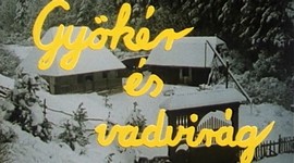 Gyökér és vadvirág (1988) online film