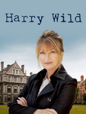 Harry Wild 2. évad (2023) online sorozat