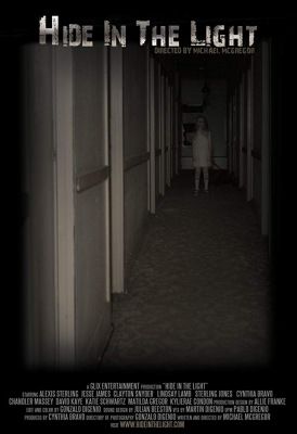 Hide in the Light (2018) online film