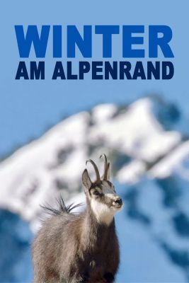 Hófehér Alpok (2022) online film