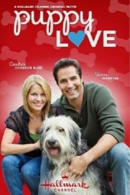 Jake, a felforgató (2012) online film