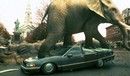 Jumanji (1995) online film