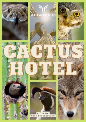 Kaktusz Hotel (2023) online film
