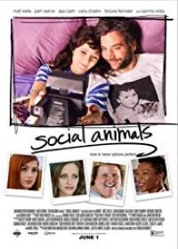 Káoszbrigád (2018) online film