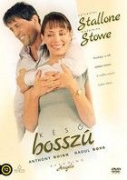 Késő bosszú (2002) online film