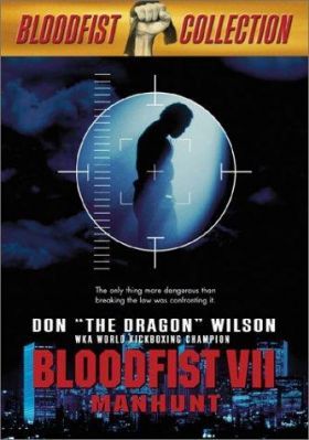 Kickboxharcos 7. - Embervadászat (1995) online film