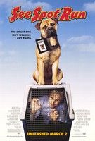 Kutyafuttában (2001) online film