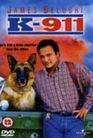Kutyám, Jerry Lee 2. (1999) online film