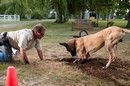 Marmaduke - A kutyakomédia online film