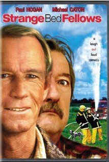 Melegházi átverés (2004) online film