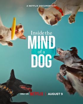 Mit gondolnak a kutyák/Inside the Mind of a Dog (2024) online film
